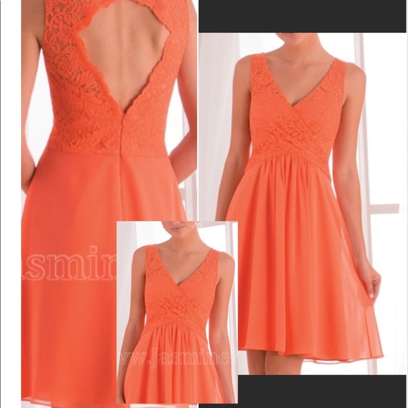 Jasmine Dresses & Skirts - Grapefruit lace and chiffon knee length